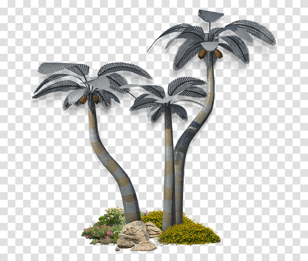 Palm Medium Group Sabal Palmetto, Plant, Tree, Flower, Cross Transparent Png