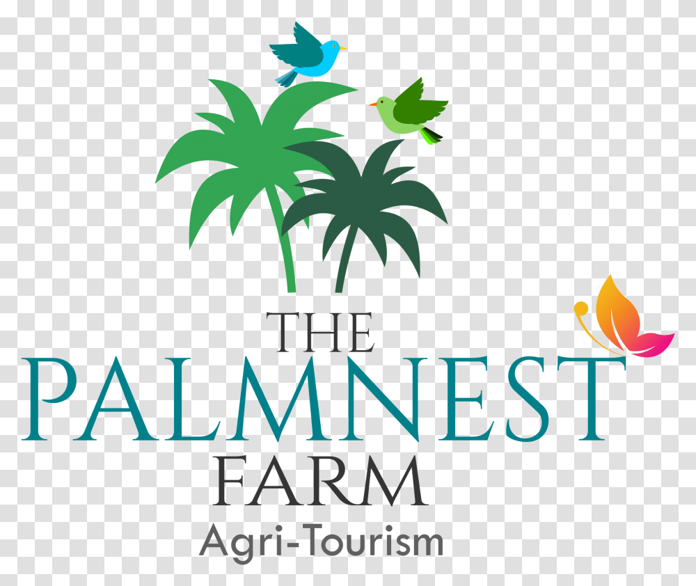 Palm Nest Farm, Plant, Tree, Nature, Outdoors Transparent Png