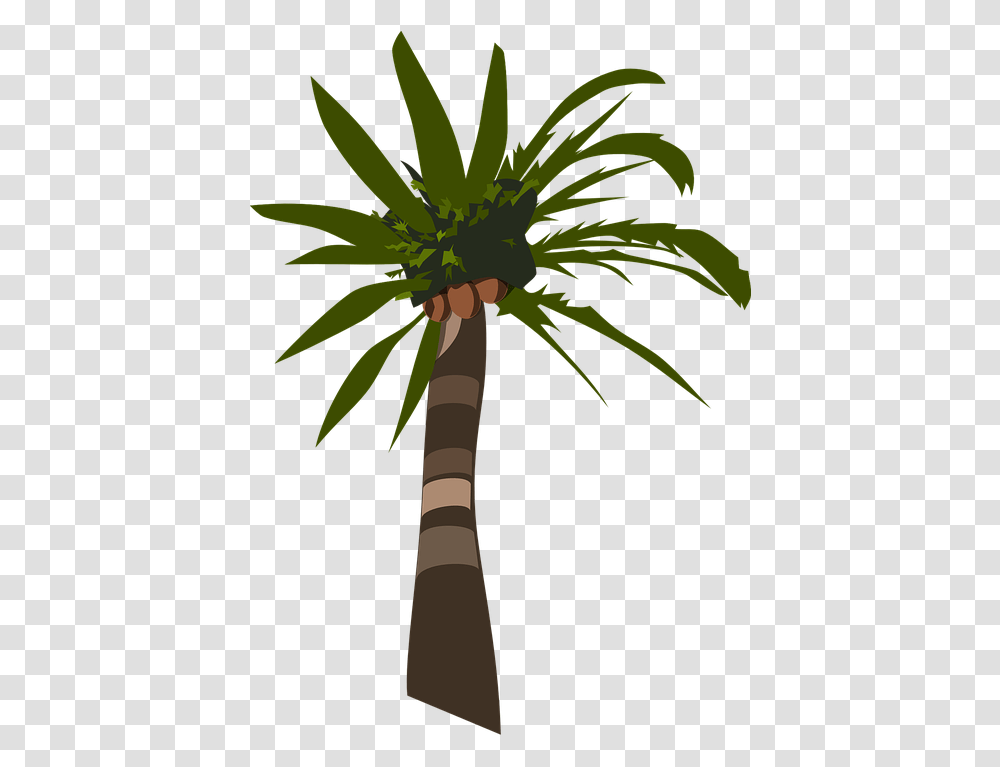Palm Oil Tree Silhouette, Plant, Palm Tree, Arecaceae Transparent Png