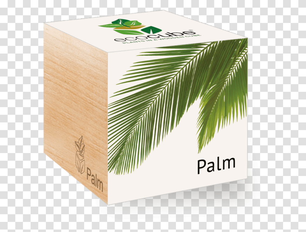 Palm Packing, Box, Cardboard, Pottery, Vase Transparent Png