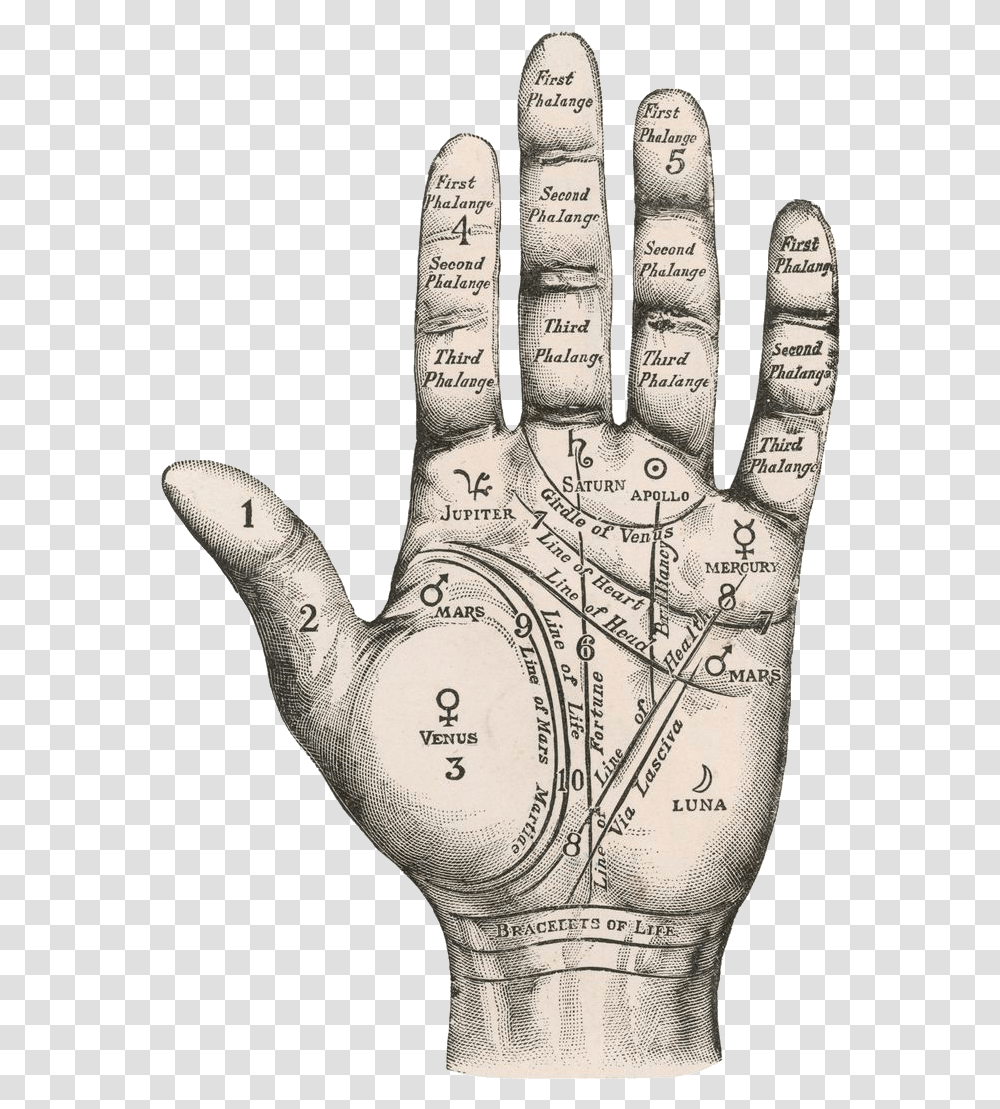 Palm Palm Reading Map Of Hand, Pottery, Teapot, Jar, Drawing Transparent Png