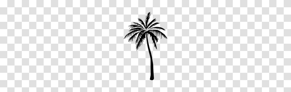 Palm Palm Tree Summer Silhouette, Plant, Arecaceae, Bow Transparent Png