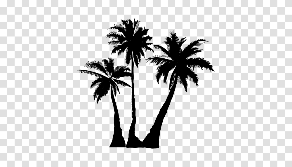 Palm Palm Tree Tree Silhouette, Plant, Arecaceae, Painting Transparent Png