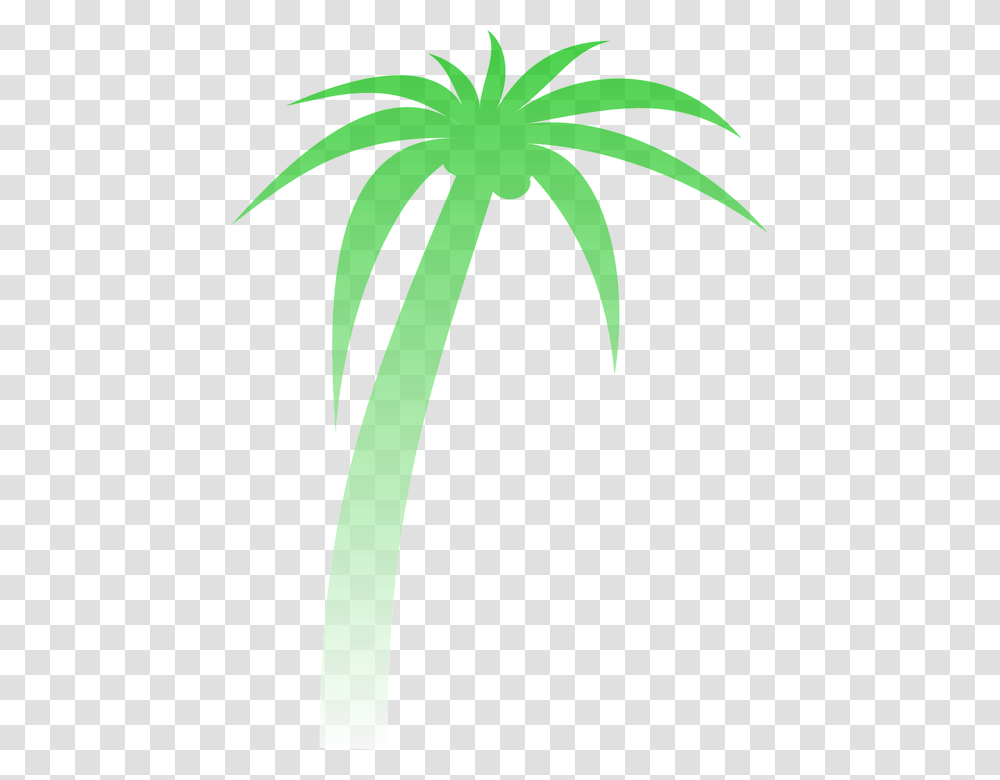 Palm Palmera Degradado Verde Tropicales Rbol Palm Tree Clip Art, Plant, Green, Aloe, Leaf Transparent Png