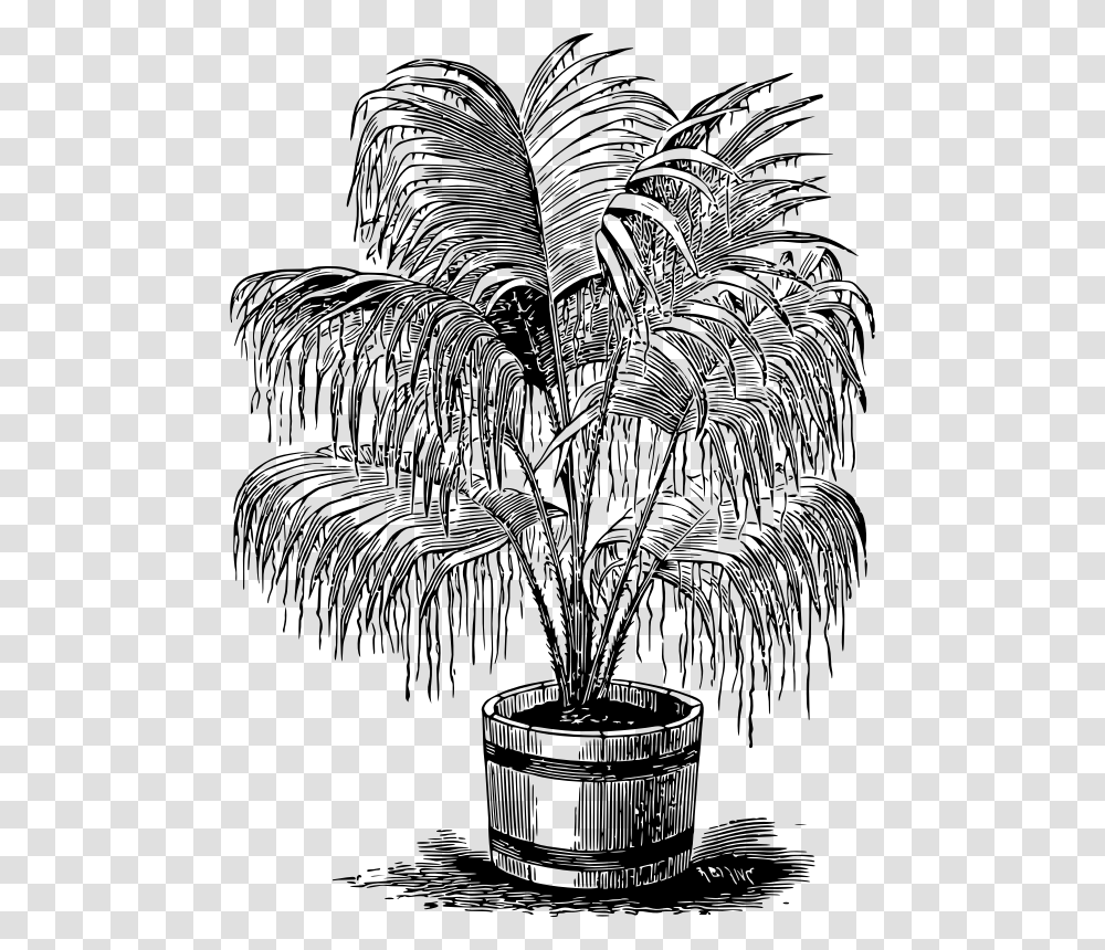 Palm Plant Clipart Free, Gray, World Of Warcraft Transparent Png