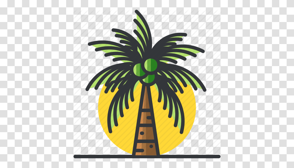 Palm Plants Tree Trees Tropical Icon, Bird, Animal, Fruit, Food Transparent Png