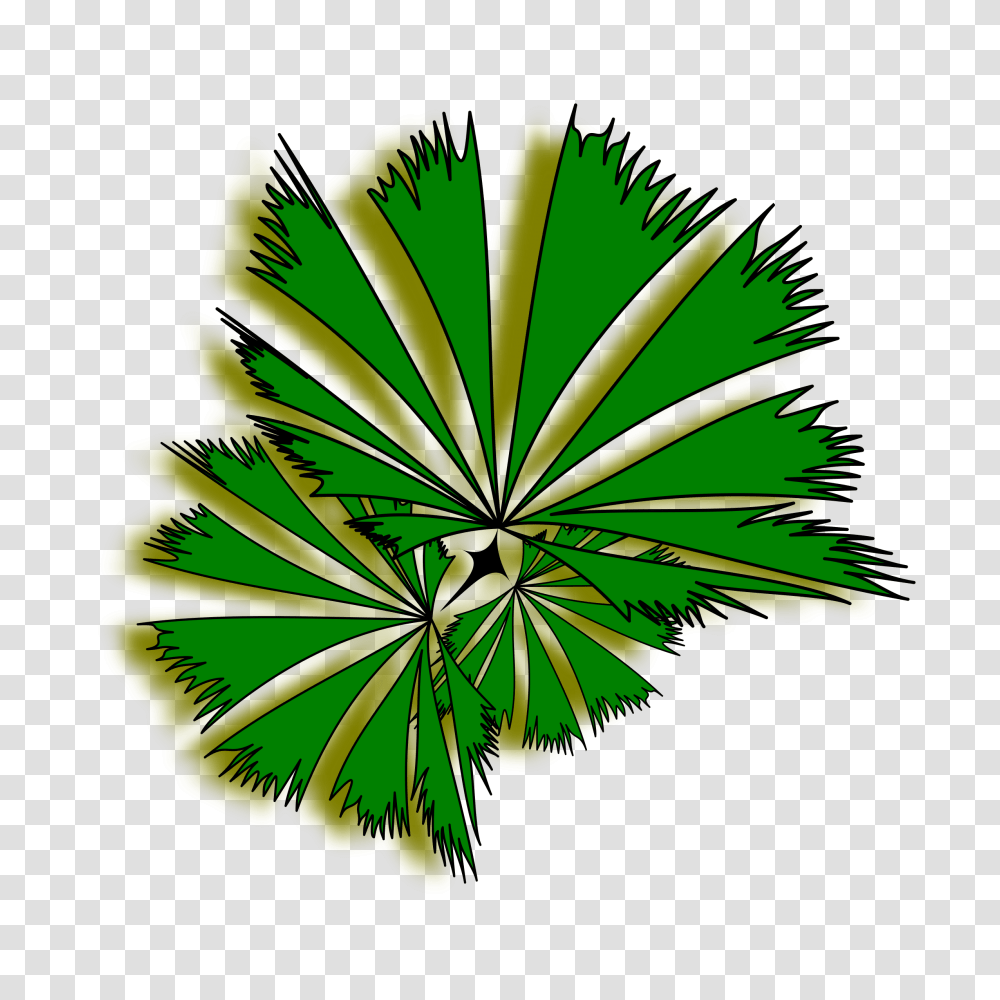 Palm Raphis 01a Top View Trees Clipart, Green, Leaf, Plant, Flower Transparent Png