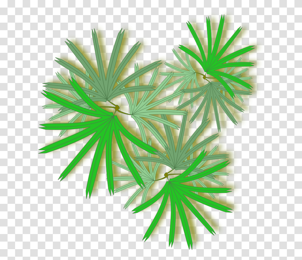 Palm Raphis Raphis Palm Top View, Plant, Flower, Pattern, Ornament Transparent Png