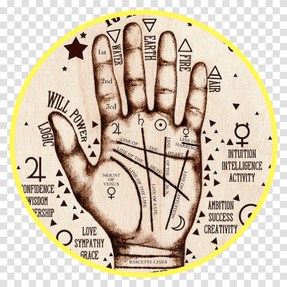 Palm Reading Hand Harry Potter Palm Reading, Label, Coin, Money Transparent Png