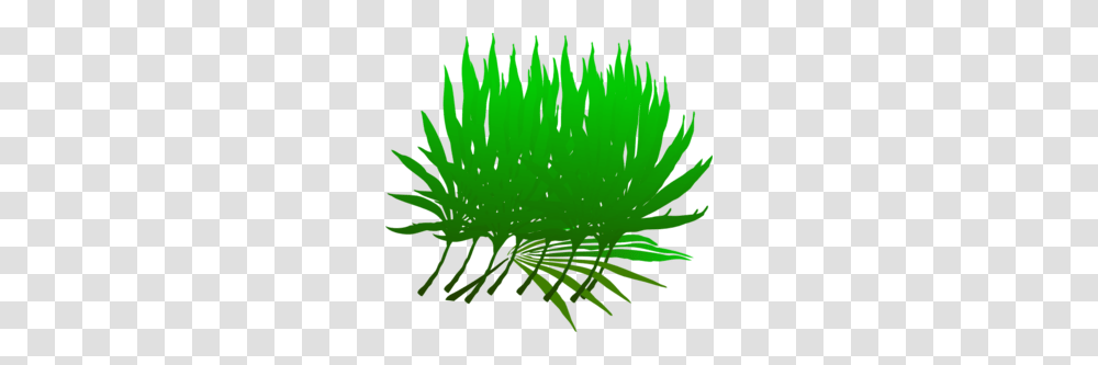Palm Sunday Branch Clip Art, Leaf, Plant, Green, Animal Transparent Png