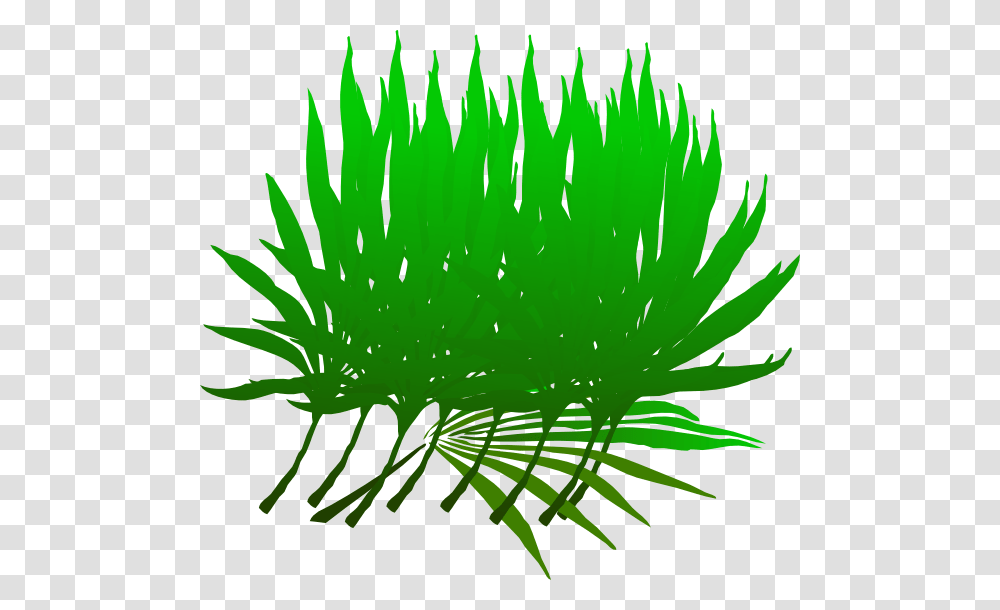 Palm Sunday Branch Clip Art, Plant, Leaf, Green Transparent Png