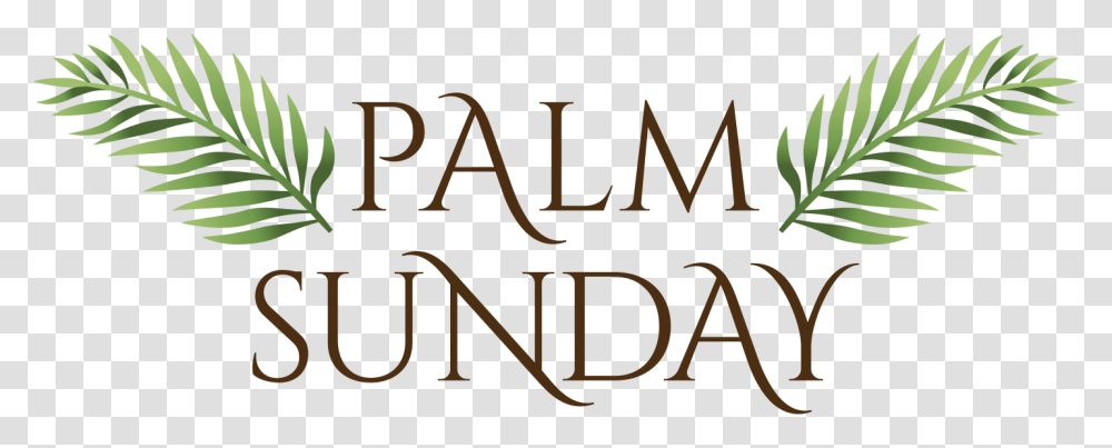 Palm Sunday Clip Art Ancient Roman Font, Word, Alphabet, Label Transparent Png