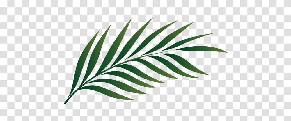 Palm Sunday Clip Art Images, Green, Leaf, Plant, Bird Transparent Png