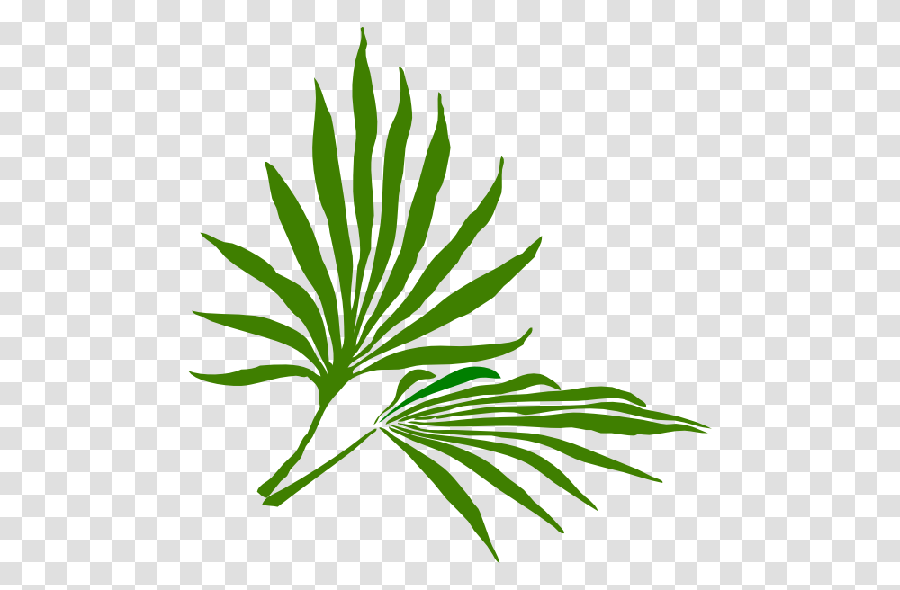 Palm Sunday Clip Art, Leaf, Plant, Green, Palm Tree Transparent Png