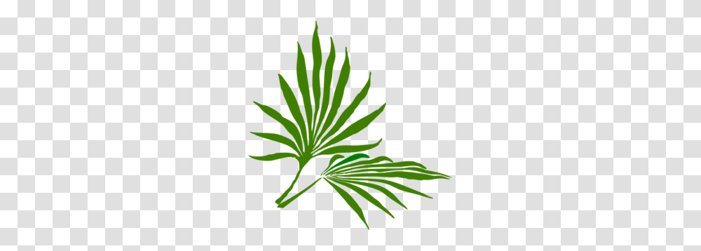 Palm Sunday Clip Art, Leaf, Plant, Vegetation, Tree Transparent Png