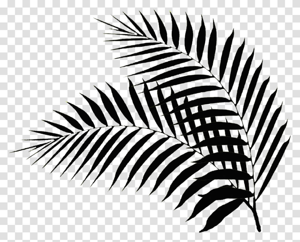 Palm Sunday Clip Art Palm Leaf Silhouette, Plant, Fern, Staircase Transparent Png