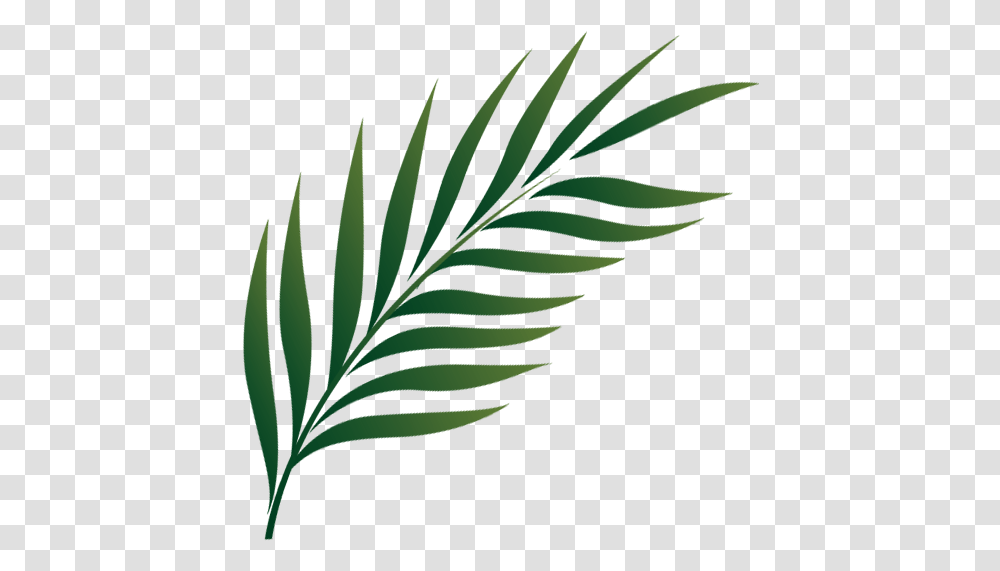 Palm Sunday Holy Week Icon, Leaf, Plant, Green, Bird Transparent Png