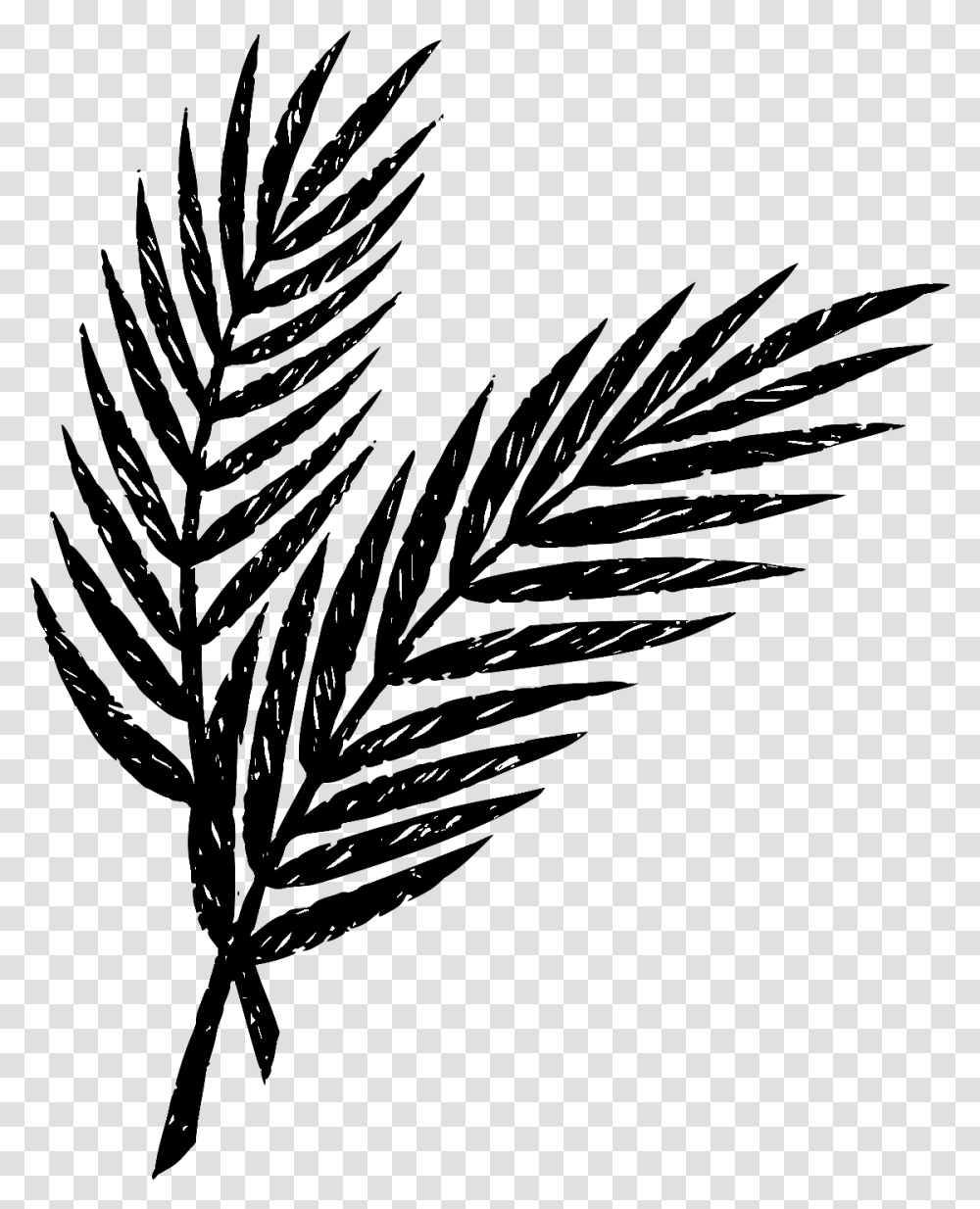 Palm Sunday Palm Clip Art, Nature, Outdoors, Night, Flare Transparent Png