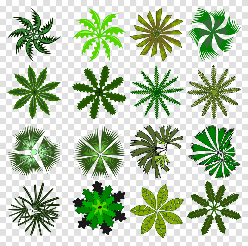 Palm Top View Icon, Plant, Green, Leaf, Rug Transparent Png