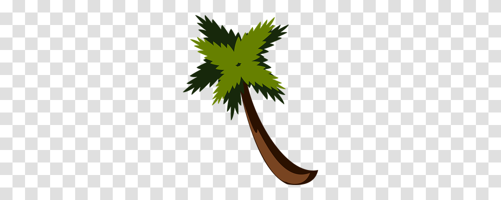 Palm Tree Holiday, Leaf, Plant, Maple Leaf Transparent Png