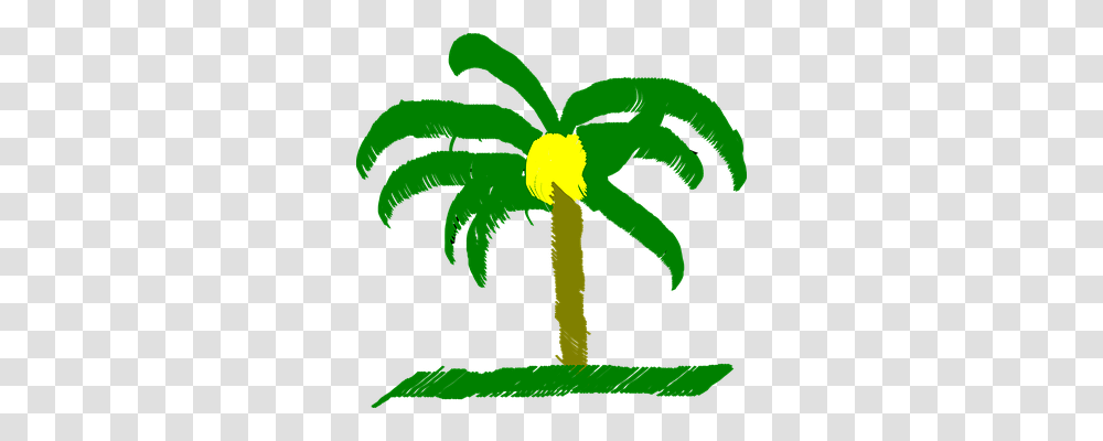 Palm Tree Holiday, Plant, Flower, Blossom Transparent Png