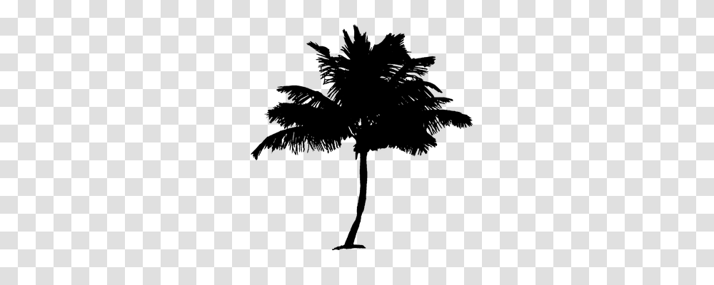 Palm Tree Nature, Gray, World Of Warcraft Transparent Png