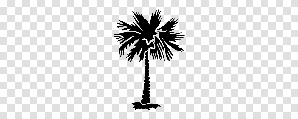 Palm Tree Nature, Tool Transparent Png