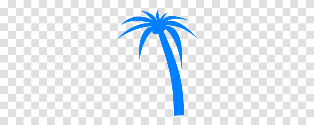 Palm Tree Holiday, Logo, Trademark Transparent Png