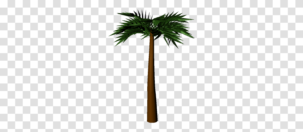 Palm Tree 3d Palm Tree, Plant, Arecaceae, Fir, Abies Transparent Png