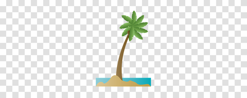 Palm Tree Holiday, Plant, Arecaceae, Leaf Transparent Png
