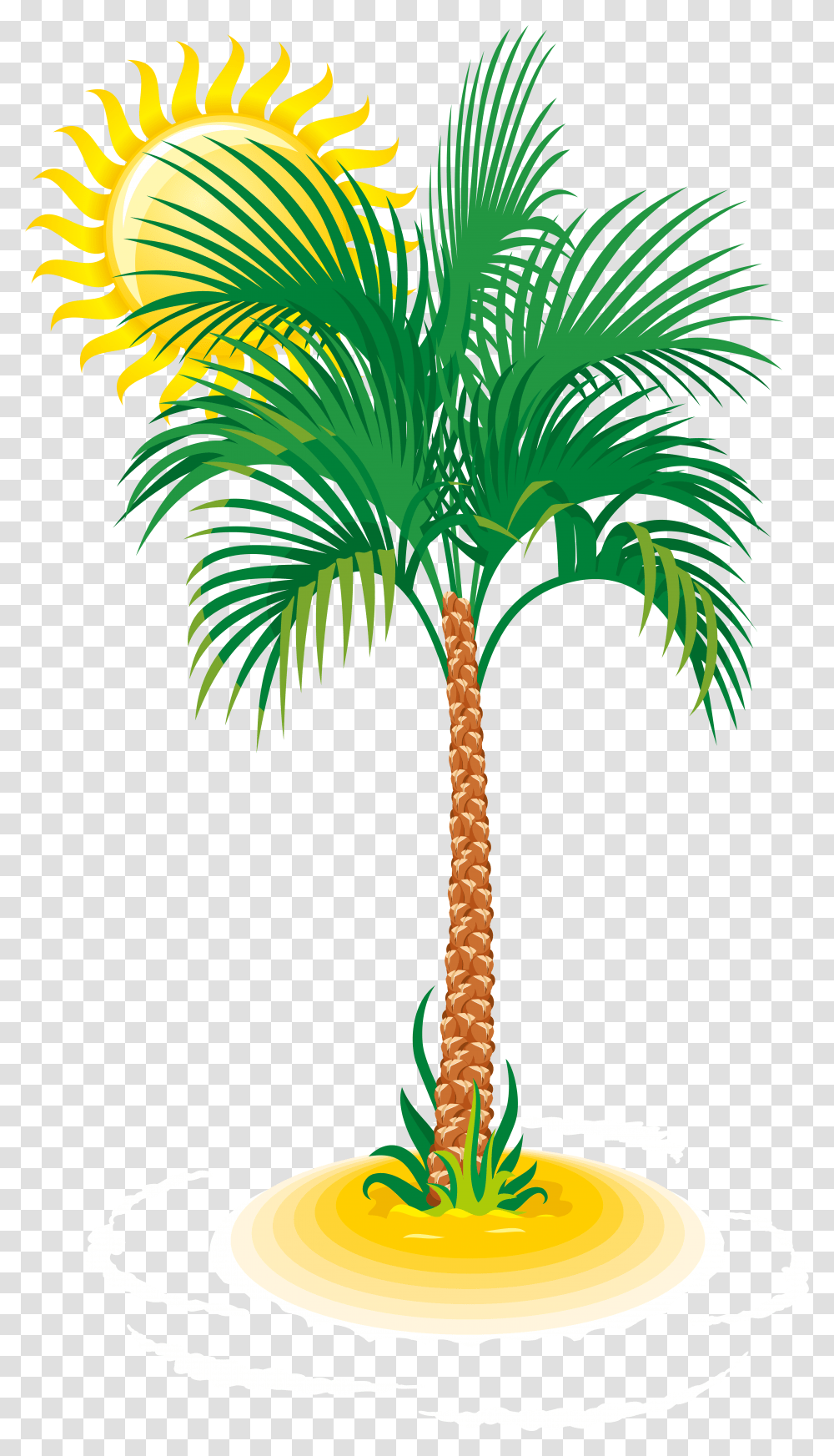 Palm Tree And Sun Clipart Pack 6148, Plant, Arecaceae, Bird, Animal Transparent Png