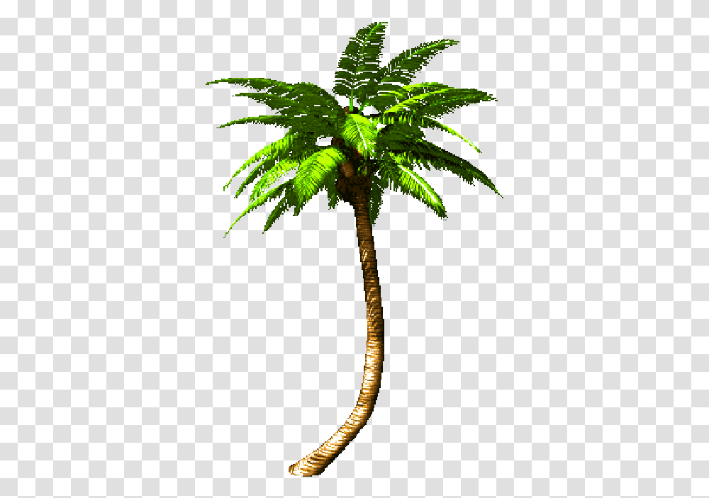 Palm Tree Animated Rotate Resize Tool Trees Palm Tree Gif, Plant, Arecaceae, Leaf, Green Transparent Png