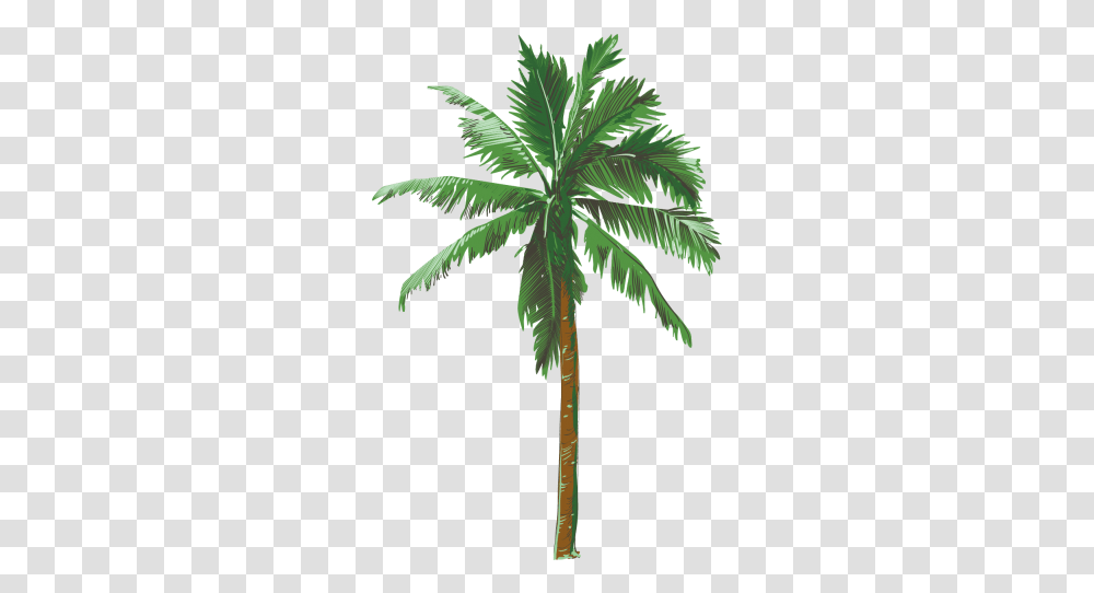 Palm Tree Background Palm Tree Background, Plant, Leaf, Arecaceae, Bird Transparent Png