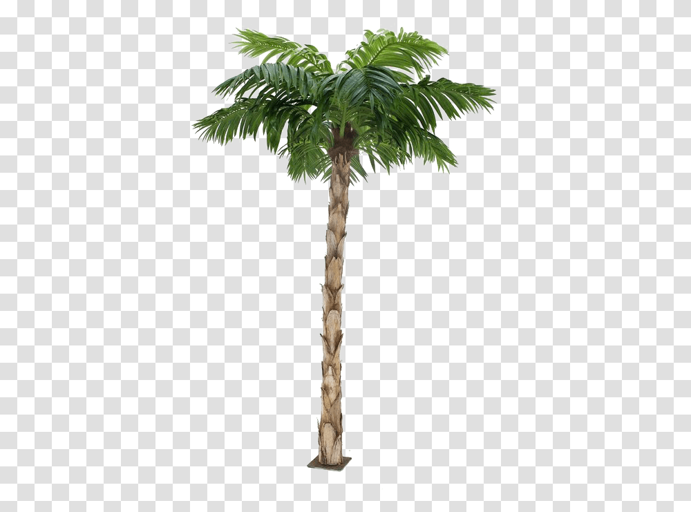 Palm Tree Background, Plant, Arecaceae, Cross Transparent Png