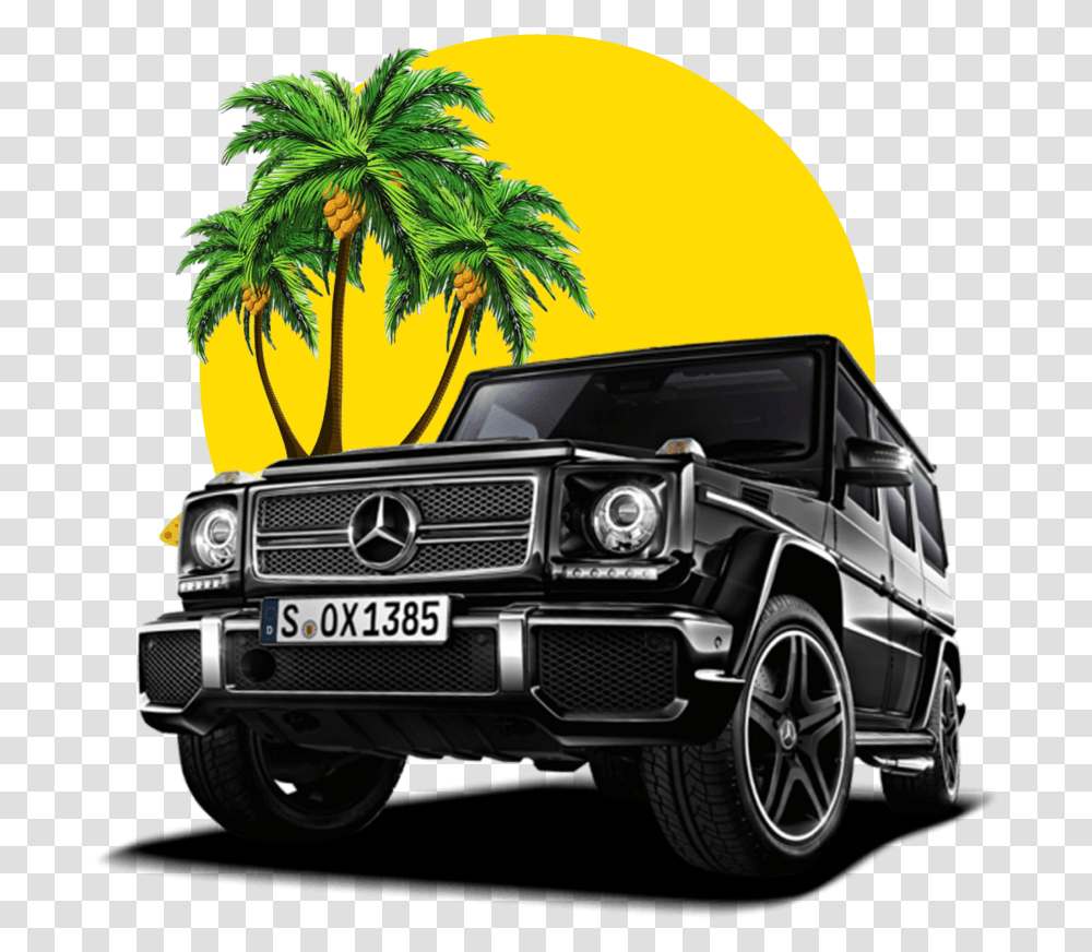 Palm Tree Beach, Car, Vehicle, Transportation, Plant Transparent Png