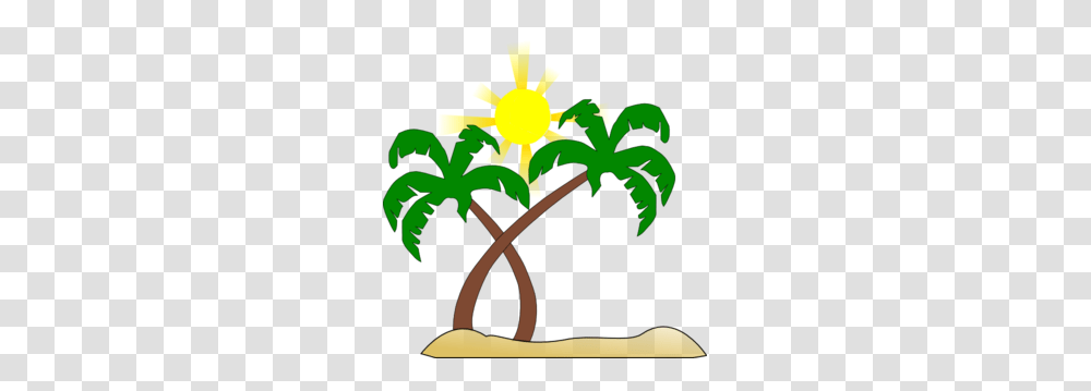 Palm Tree Beach Clipart, Plant, Flower, Blossom, Dynamite Transparent Png