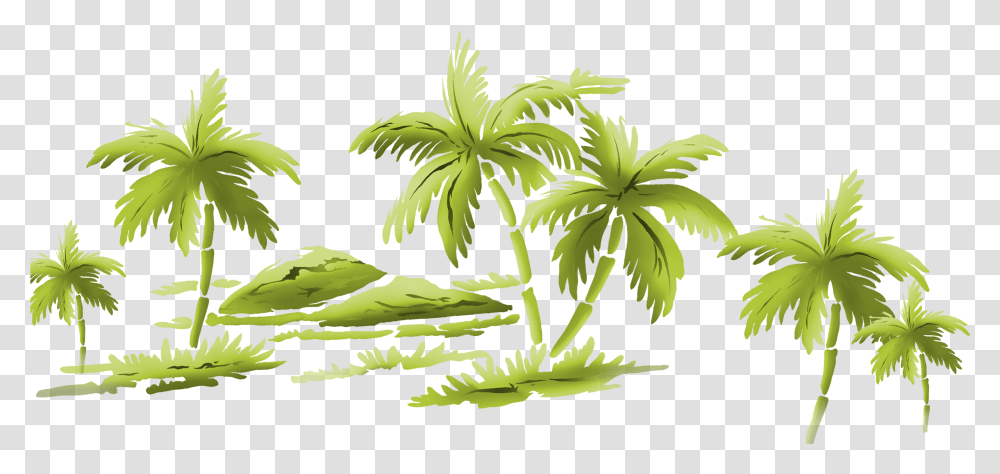 Palm Tree Beach Flower, Plant, Green, Vegetation, Leaf Transparent Png