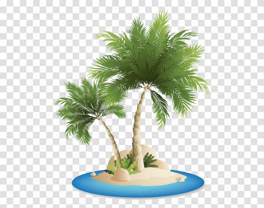 Palm Tree Beach, Plant, Arecaceae, Conifer, Bonsai Transparent Png