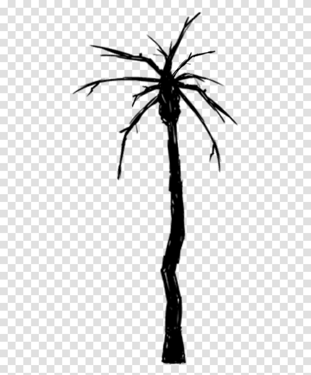 Palm Tree Black And White, Gray, World Of Warcraft Transparent Png