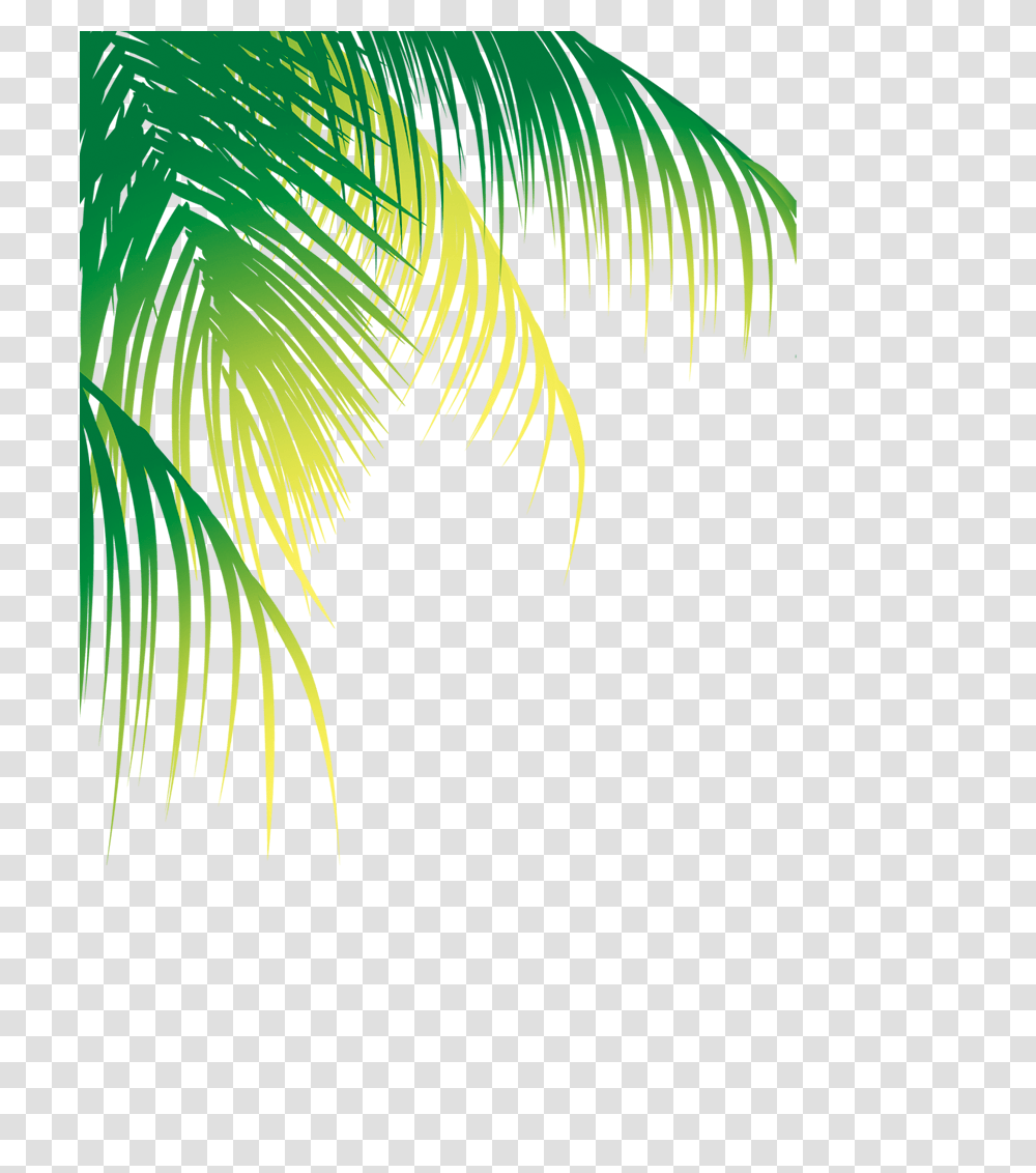 Palm Tree Border Coconut Tree Leaf Vector, Graphics, Art, Green, Sunlight Transparent Png