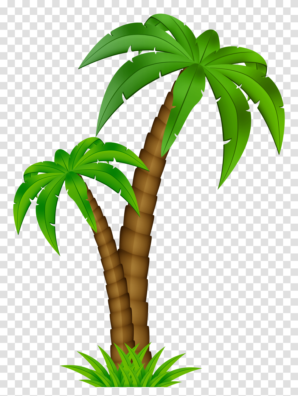 Palm Tree Cartoon Clipart Cartoon Palm Tree Clip Art Transparent Png