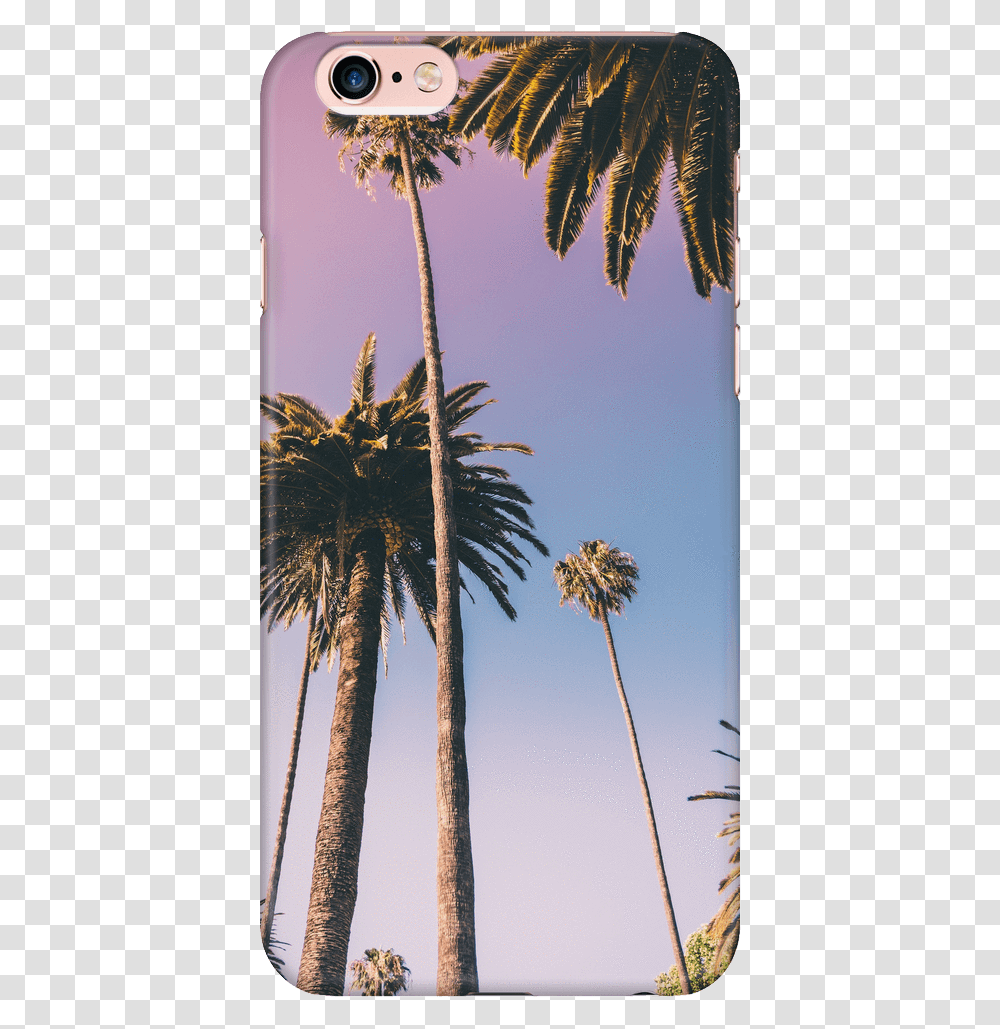 Palm Tree Case Beverly Hills Palm Trees, Plant, Summer, City, Urban Transparent Png