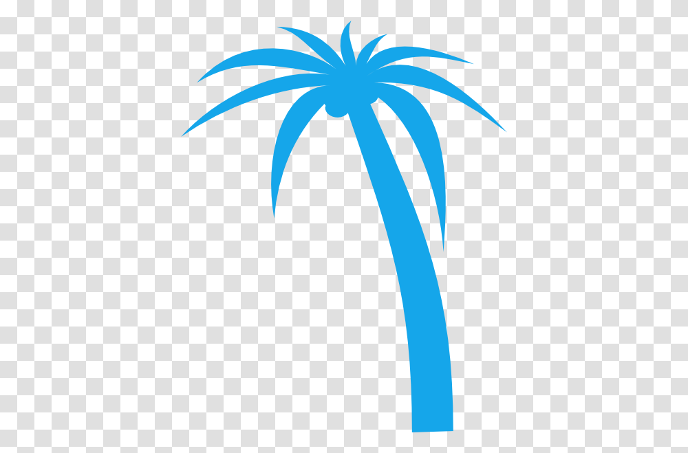 Palm Tree Clip Art, Floral Design, Pattern, Outdoors Transparent Png