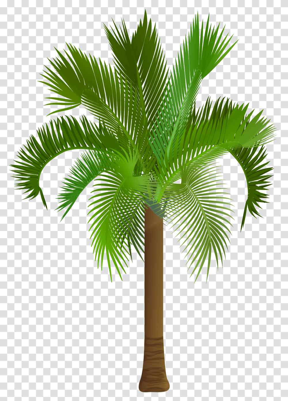 Palm Tree Clip Art Image Is Available For Free Royalty Free Palm Trees Transparent Png