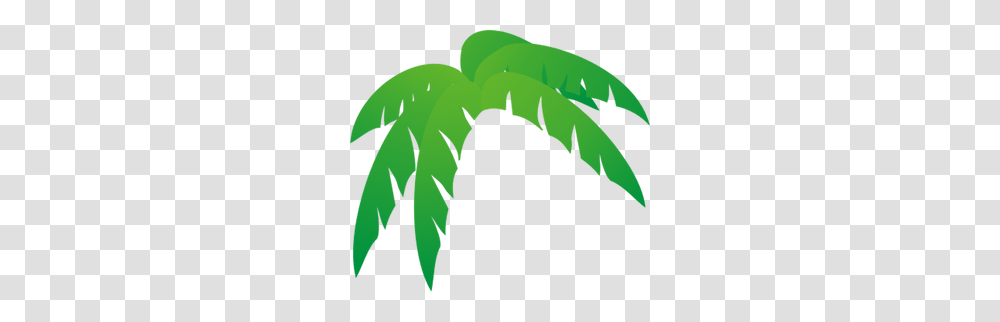 Palm Tree Clip Art, Leaf, Plant, Outdoors, Animal Transparent Png