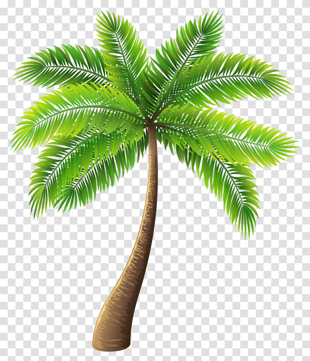 Palm Tree Clip Art Palm Tree Background Transparent Png