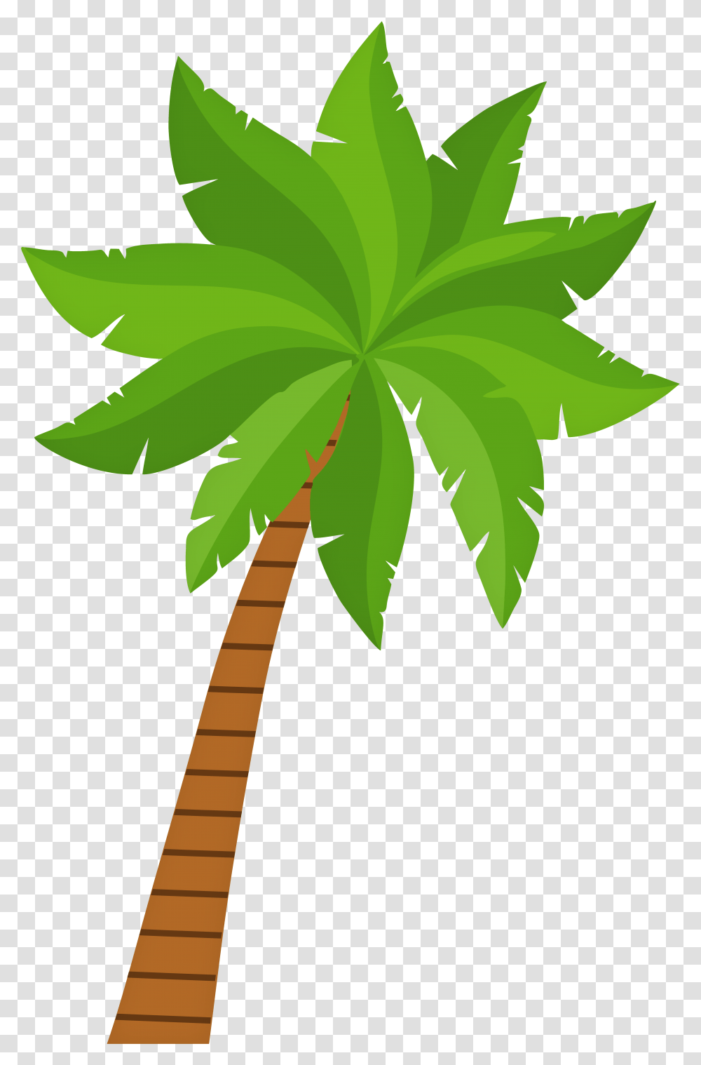 Palm Tree Clip Art Palm Tree Clipart, Leaf, Plant, Arecaceae, Weed Transparent Png