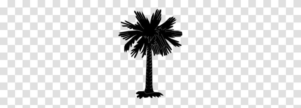 Palm Tree Clip Art, Plant, Arecaceae, Flower, Blossom Transparent Png