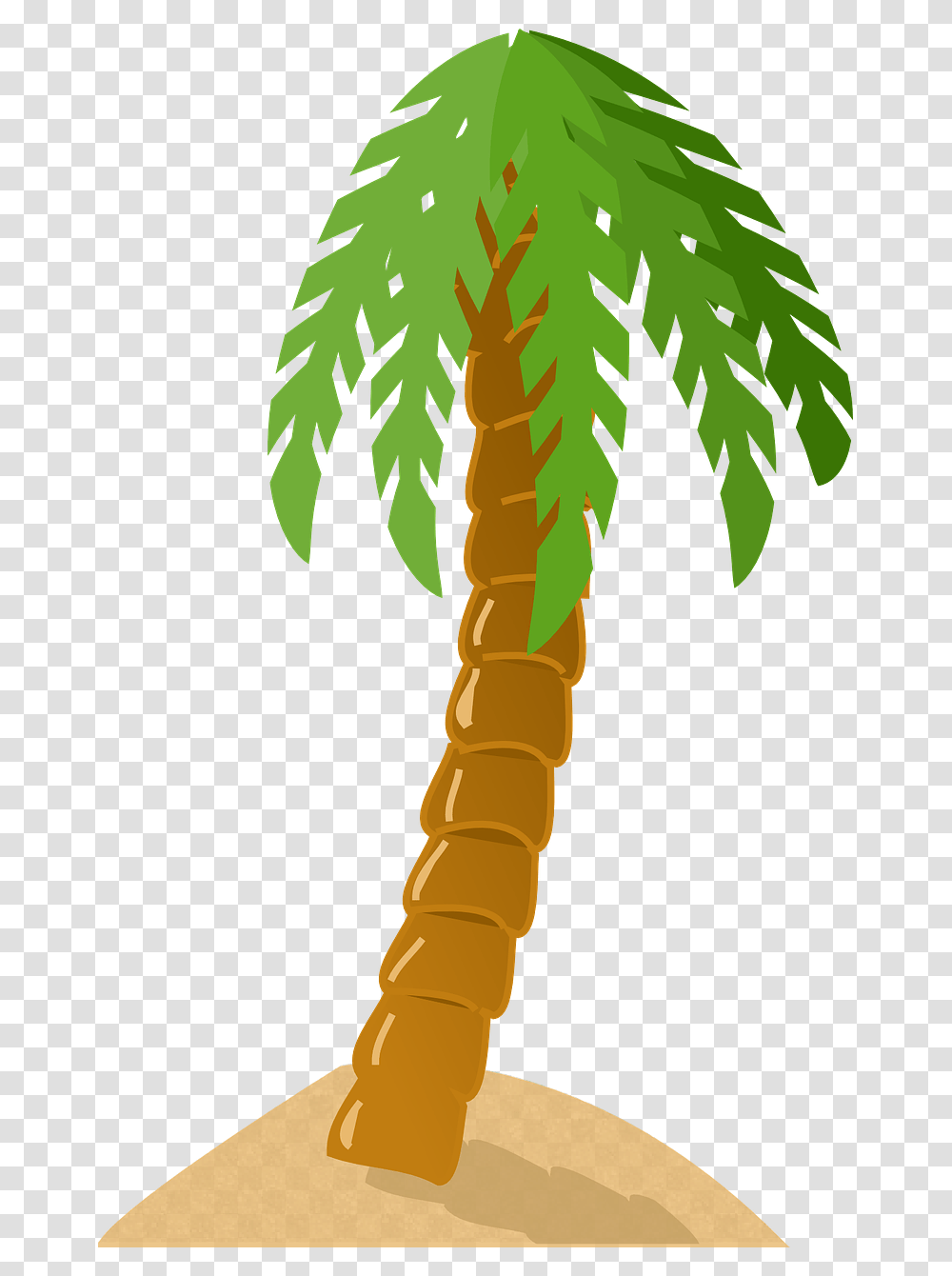 Palm Tree Clip Art, Plant, Arecaceae, Leaf, Root Transparent Png