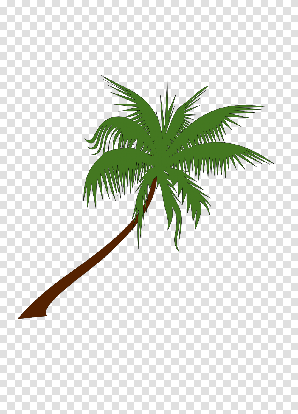 Palm Tree Clip Art, Plant, Arecaceae, Leaf Transparent Png